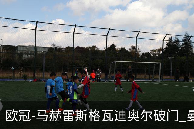 欧冠-马赫雷斯格瓦迪奥尔破门 曼城1-1战平莱比锡